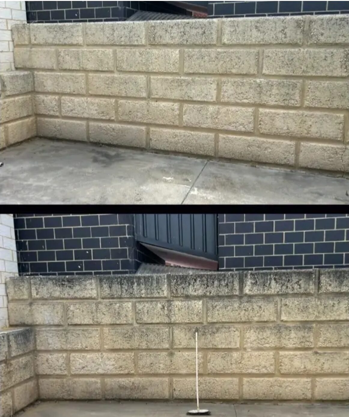 Block Wall Mould & Grime Removal